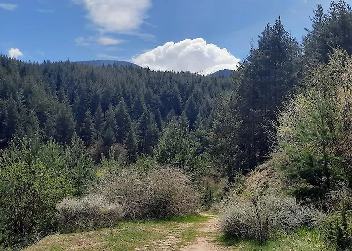 The Snug Near The Brimming Mountains アパート