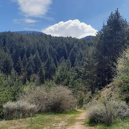 The Snug Near The Brimming Mountains Apartament